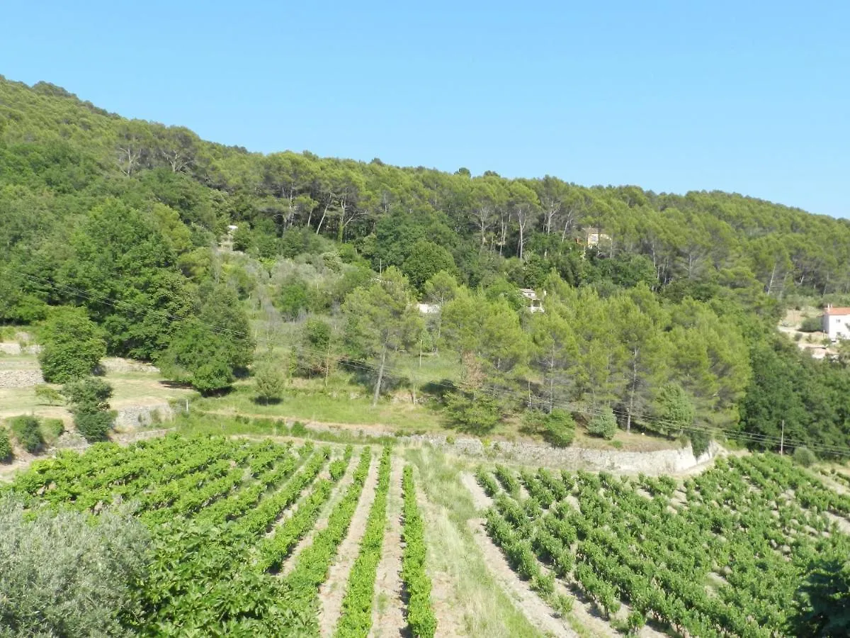 Holiday Home Les Grenaches By Interhome Draguignan 0*,  France
